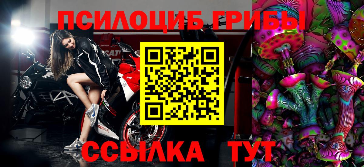 даркнет сайт  Дятьково  Псилоцибиновые грибы ЛСД  Галлюциногенные грибы MAGIC MUSHROOMS 