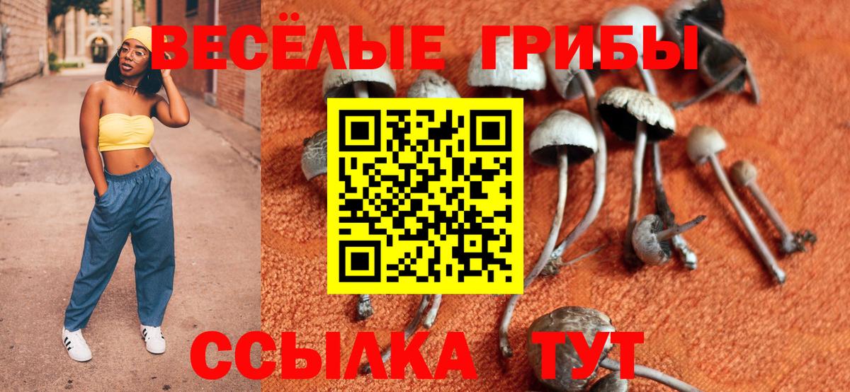 Галлюциногенные грибы MAGIC MUSHROOMS  Вход с VPN  Дятьково 